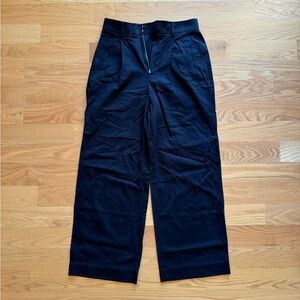 Everlane Way High Drape Pant